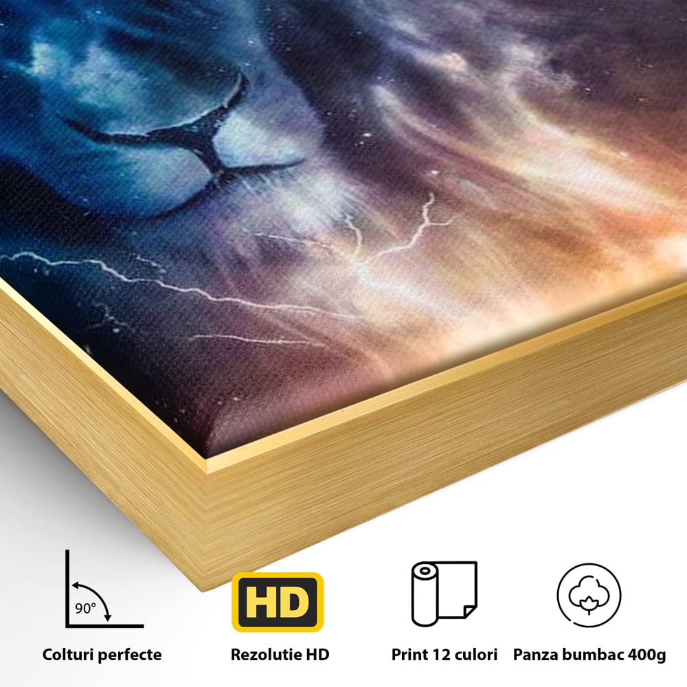 Detaliu al suprafetei: tablou canvas cu leu in univers, in rama de aluminiu auriu